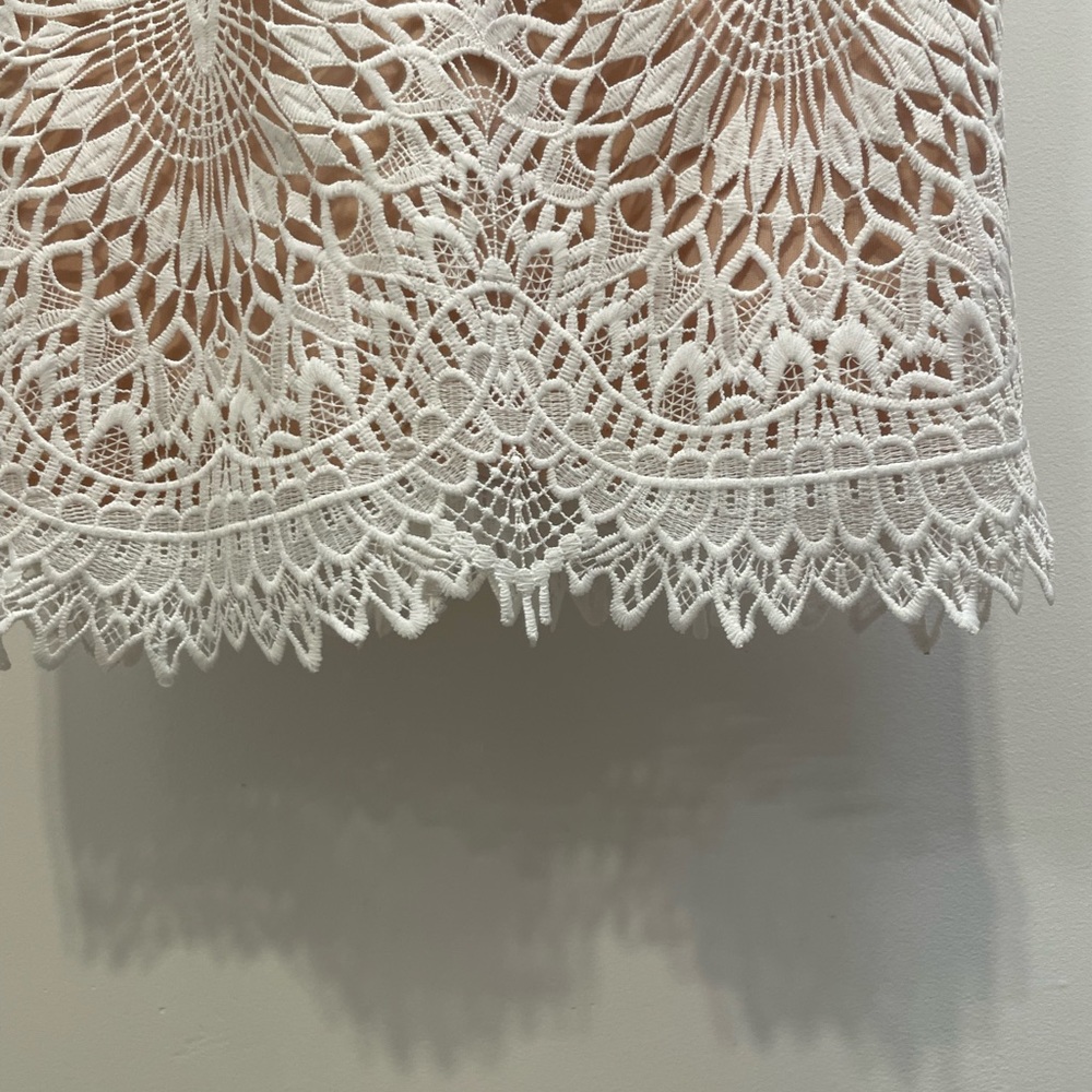 Lulu’s lace mini dress with nude underlayment - Picture 6 of 8